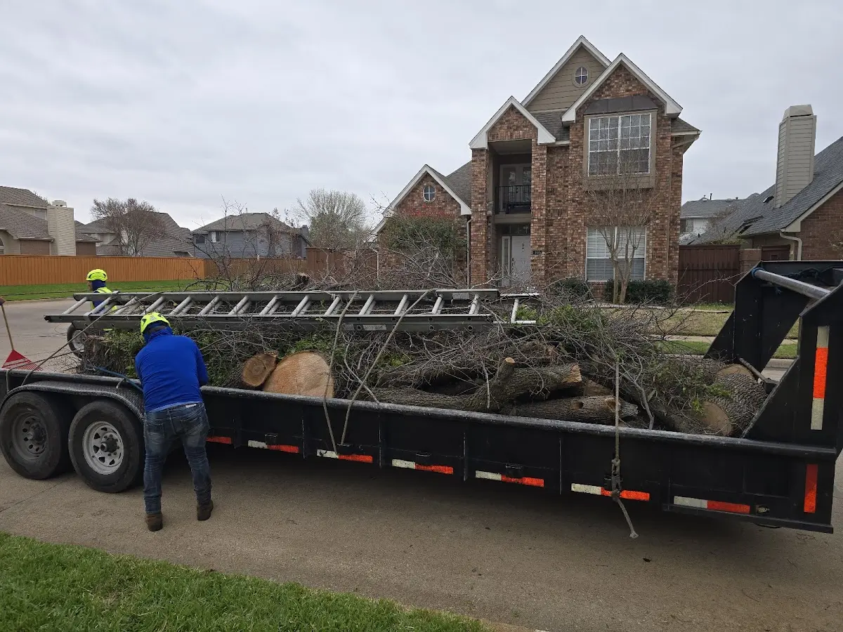 Expert Tree Fertilization with proper safety equipment in Branch